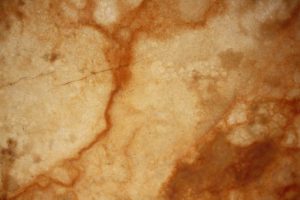Backlit Onyx Miele Slab