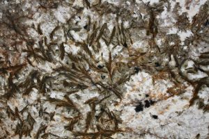 Alpinus Black Crystal - White Granite Slab
