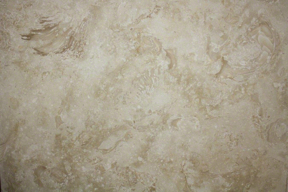 Shells Reef Beige Shellstone Tile and Slab