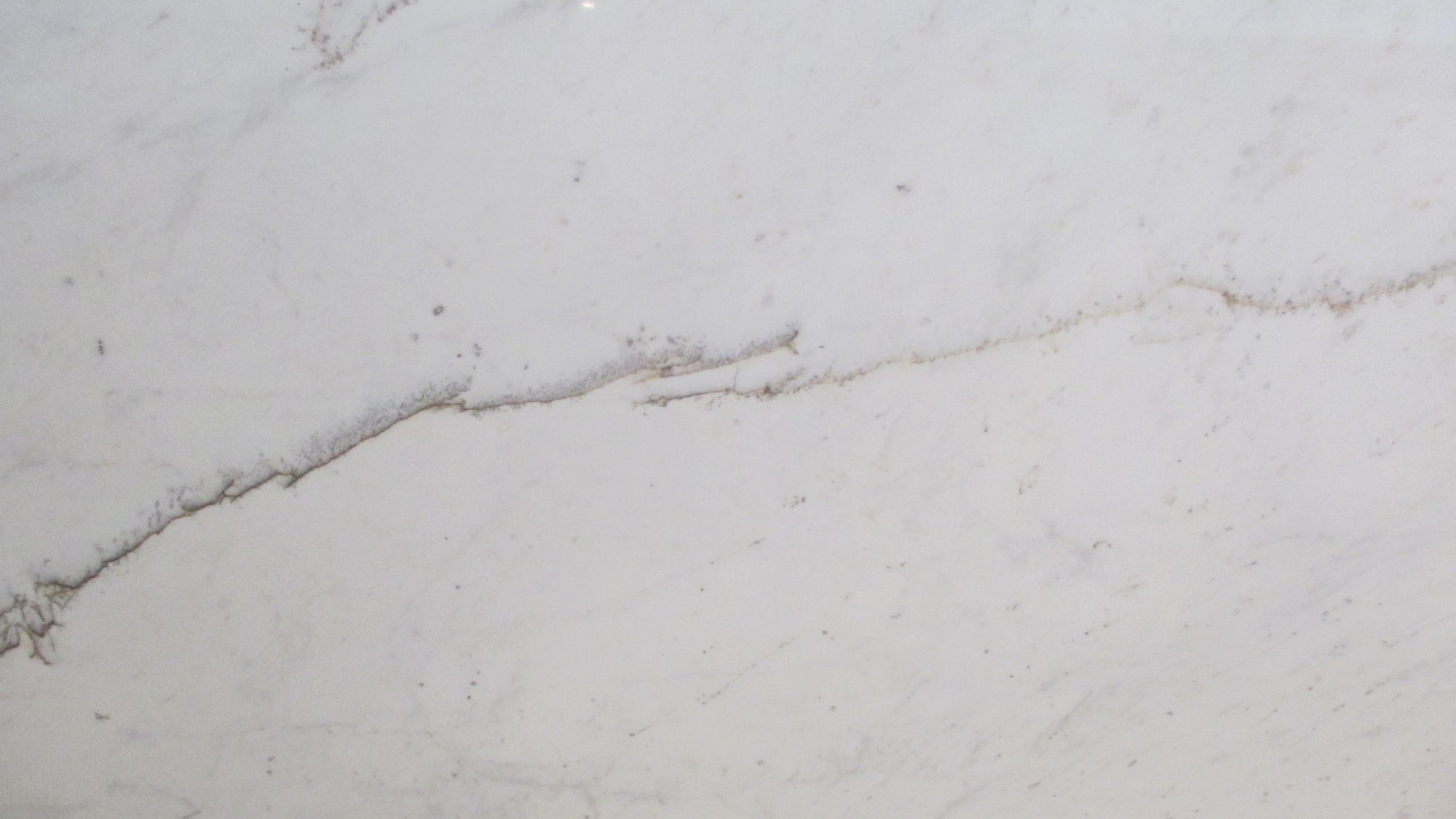 White Himalaya Spider Marble Tile and Slab