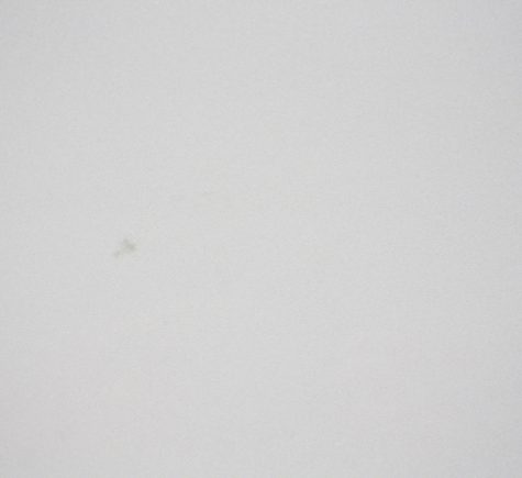 Athena White Marble Tile