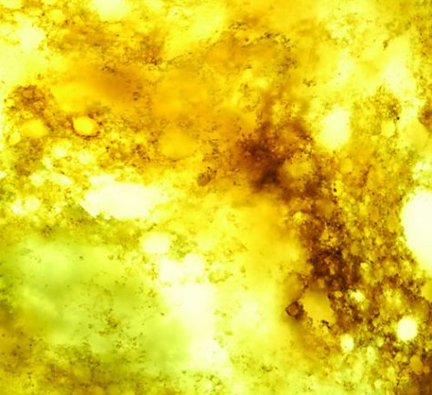 Yellow Translucent Quartz Slab